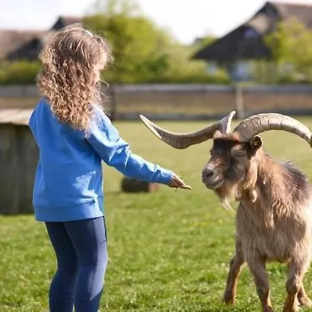 Im Der Valk In Linstow Ferienhaus