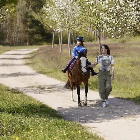 Im Der Valk In Linstow Dobbin-Linstow